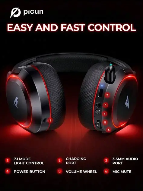 Picun G2 2.4G Wireless ( Black )